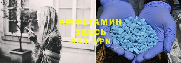 стафф Инта