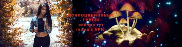 соль ск Зеленодольск