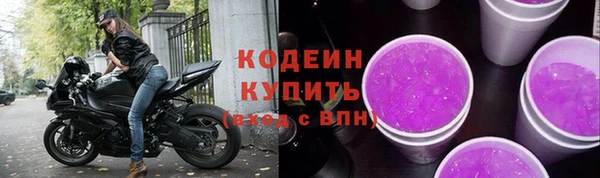 стафф Инта