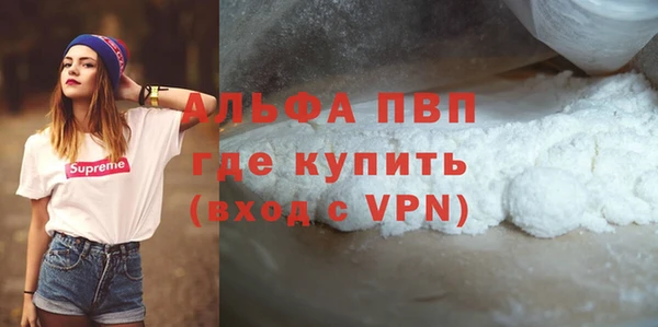 ПСИЛОЦИБИНОВЫЕ ГРИБЫ Иннополис