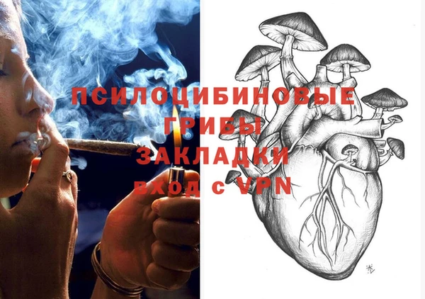 стаф Зеленокумск