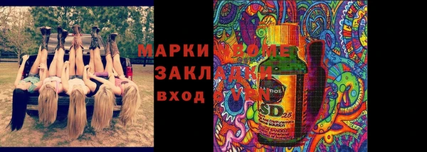ПСИЛОЦИБИНОВЫЕ ГРИБЫ Иннополис