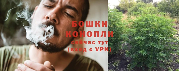 трава Инсар