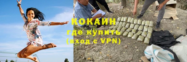 ПСИЛОЦИБИНОВЫЕ ГРИБЫ Иннополис